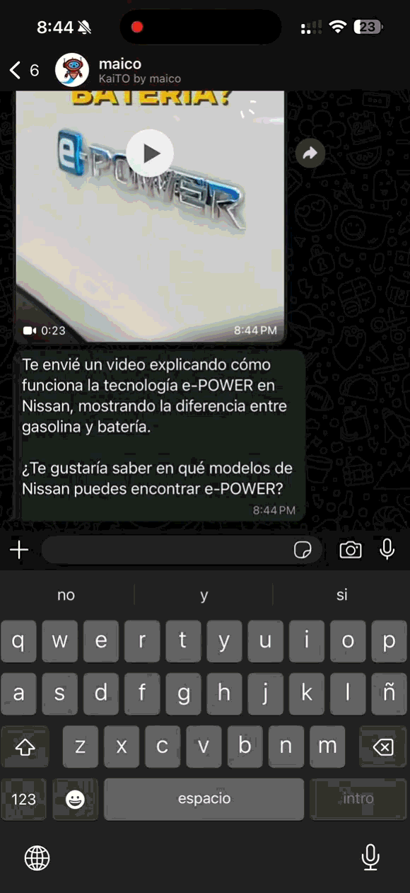 conversación de whatsapp con maico